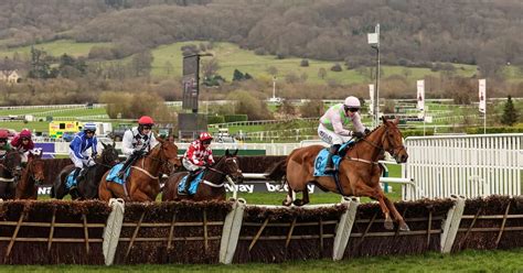 Cheltenham Festival day 2 winners, results, reaction and more.